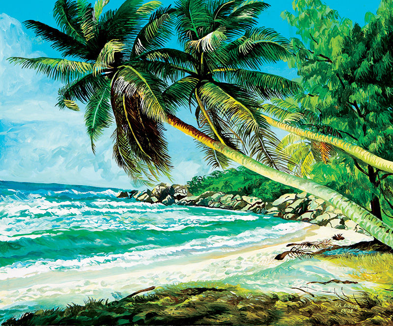 The Evolution of Beachscape Art Featuring Petite Anse and La Digue Island