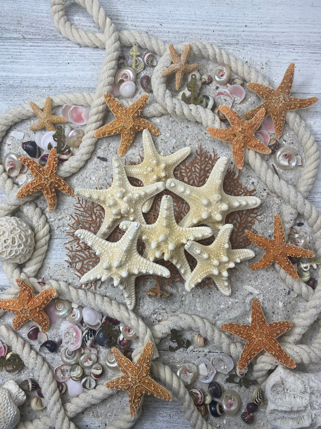 Crafting Meaning Through Knobby Starfish Artistic Expression