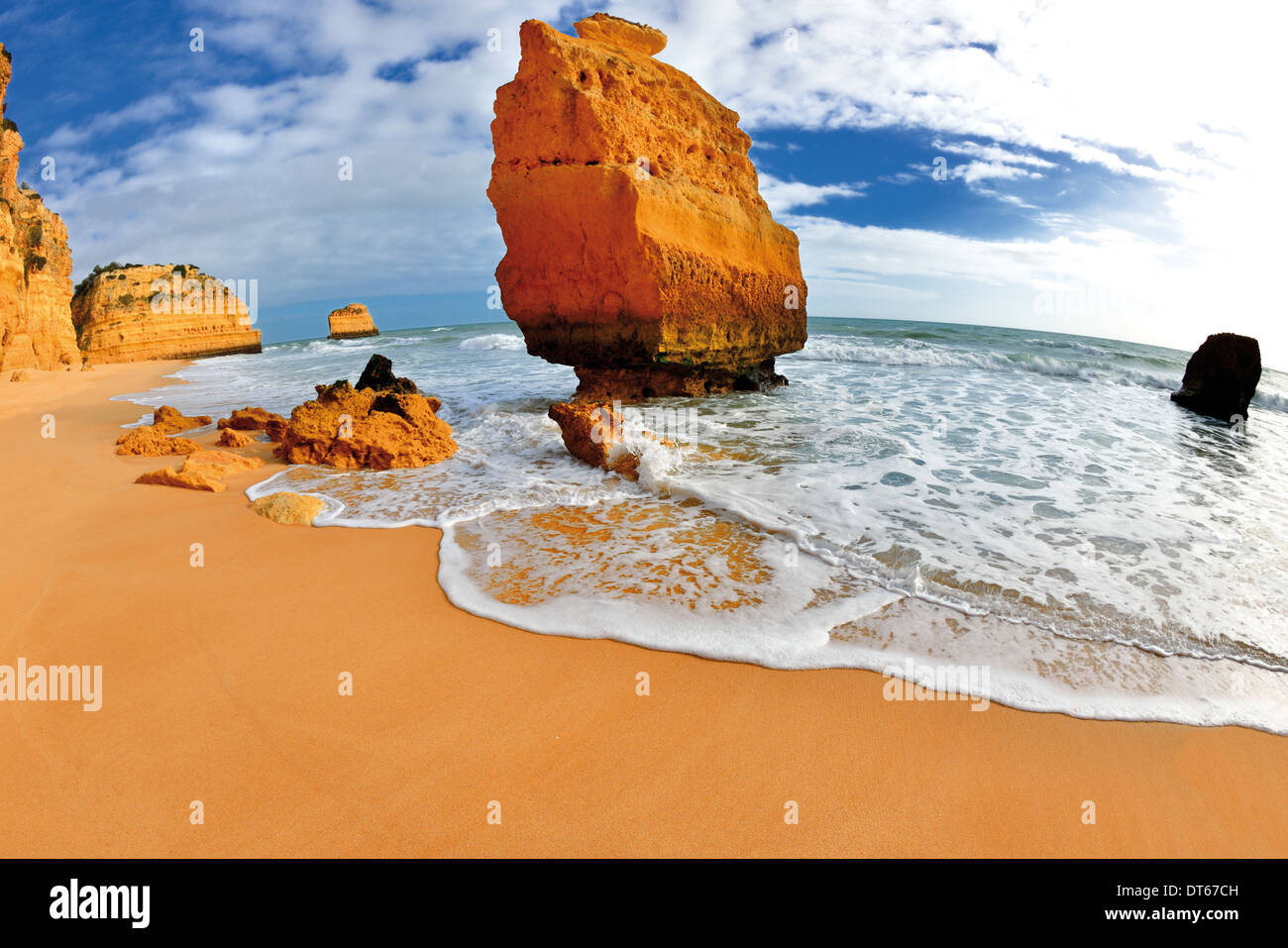 The Natural History of Portugal’s Distinctive Brown Rocky Beaches