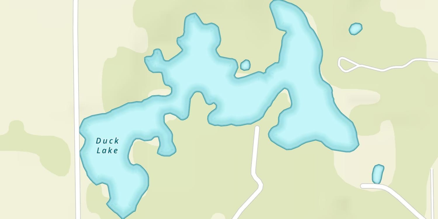 Small Framed Maps Show Detailed View of Duck Lake and Surrounding Areas