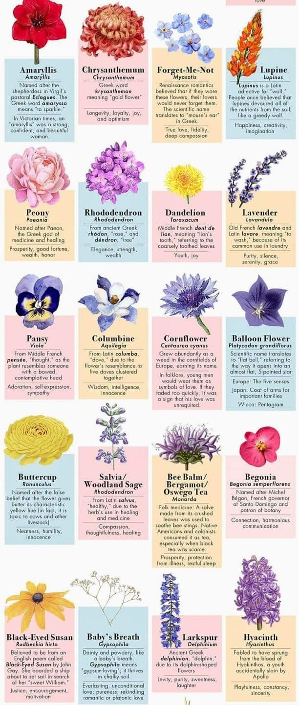 Flower Meanings Chart – Artofit with regard to Understanding the Symbolism Behind Sunset Flowers in Art and Culture