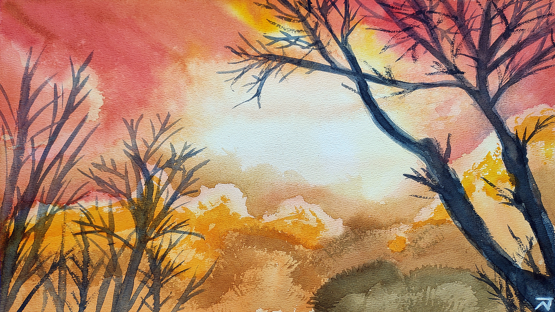 Capturing the Magic of Forest Dawn