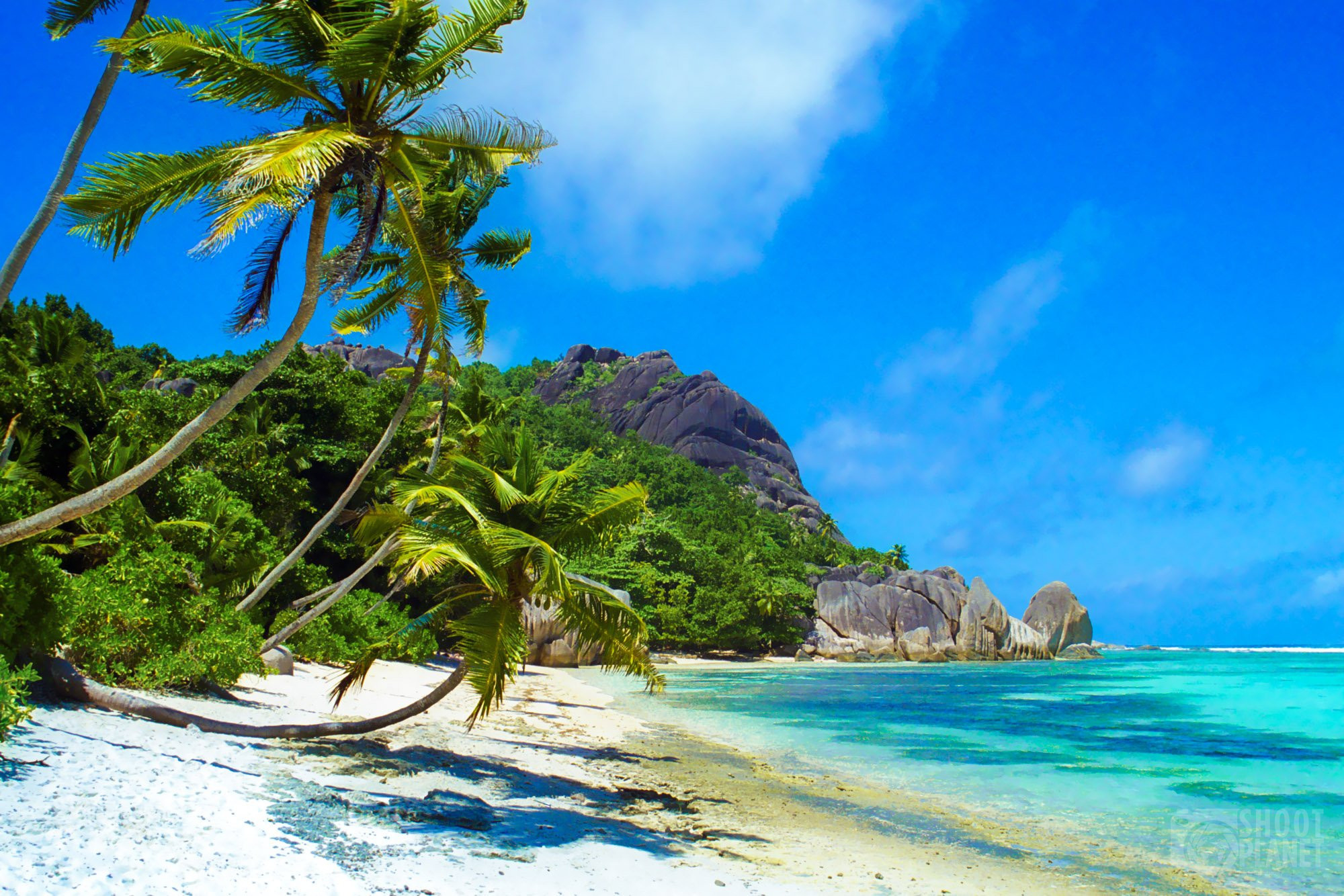 Capturing the Essence of La Digue Island’s Most Famous Beach in Wall Art