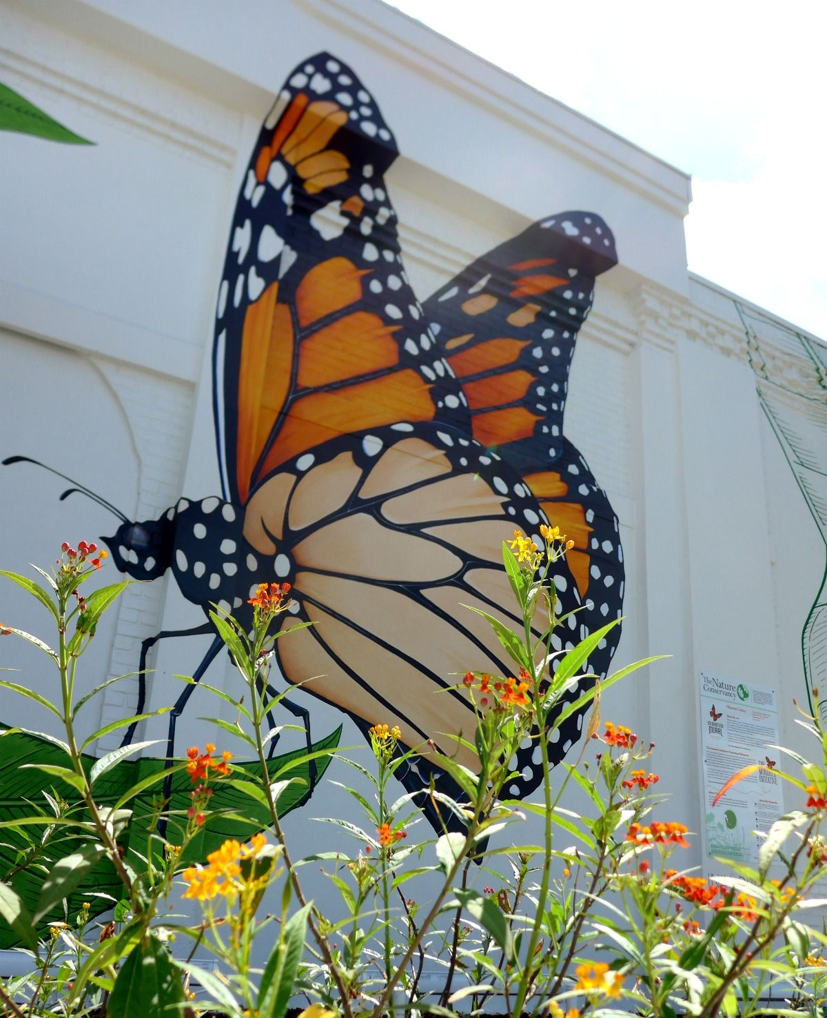 Exploring the Cultural Significance Behind Monarch Wall Art