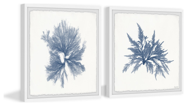 The Visual Language of Navy Sea Weed VI Diptych Blue 24×12 in Contemporary Art