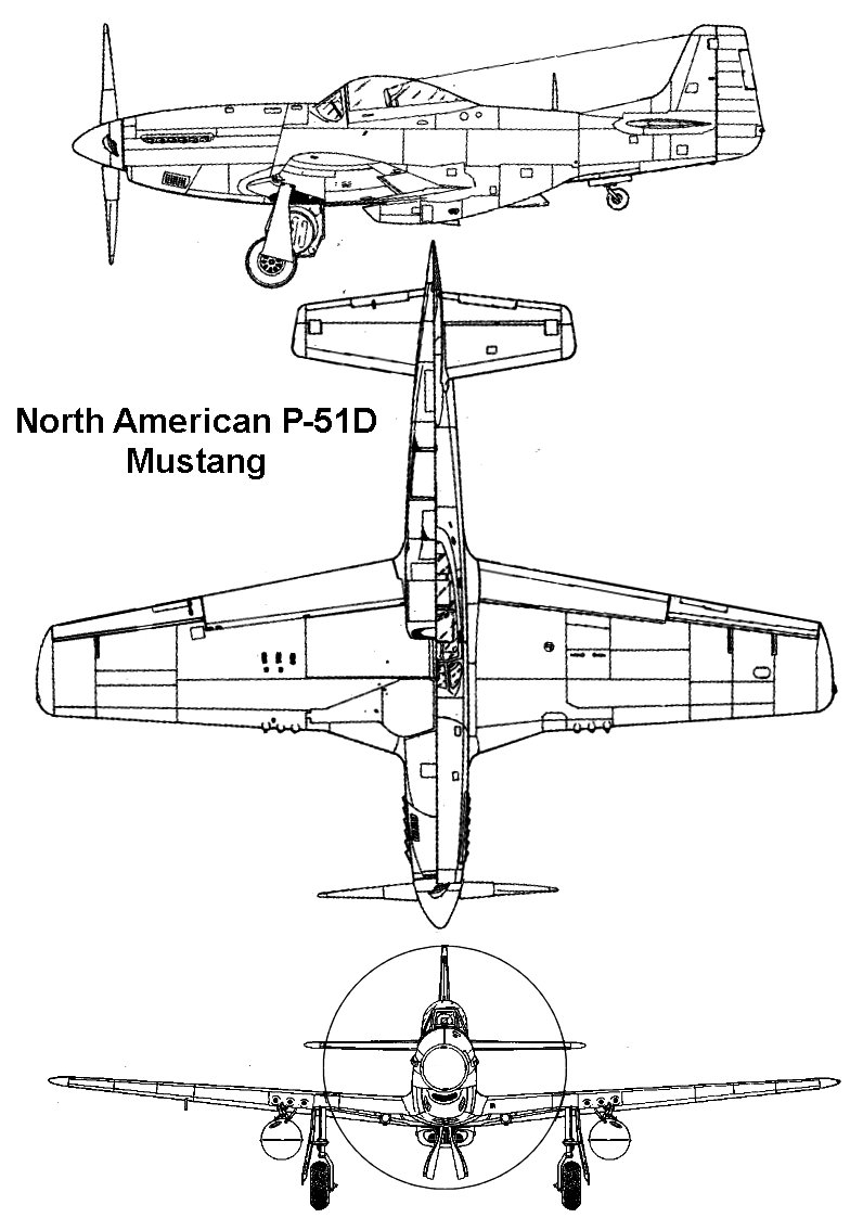 Understanding the C1943 Gray Mustang P51 Frame Specifications