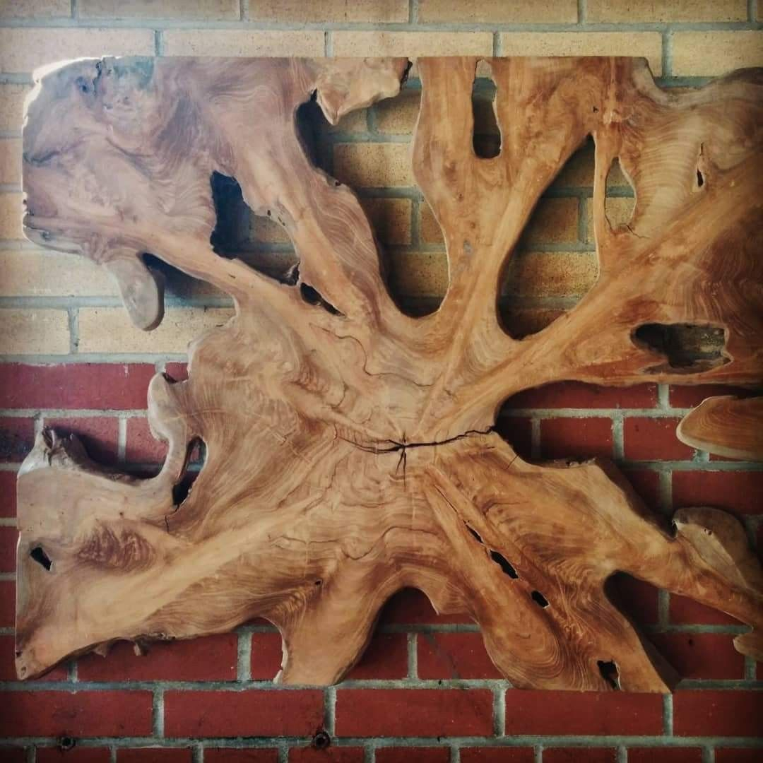 Understanding the Natural Beauty of Banff Teak Root Wall Art