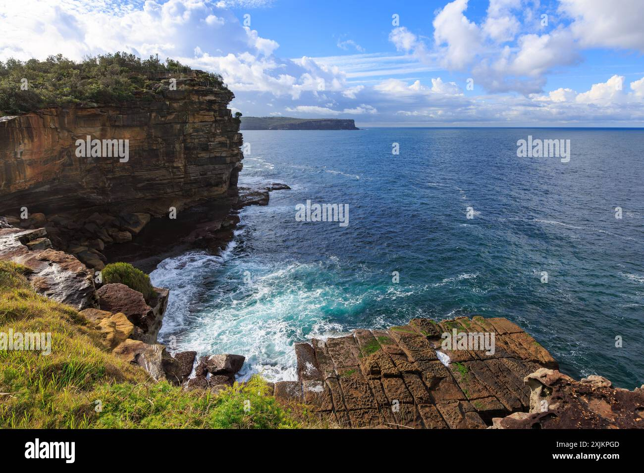 Capturing the Essence of Sydney’s Coastal Green Rocks Through Canvas Art