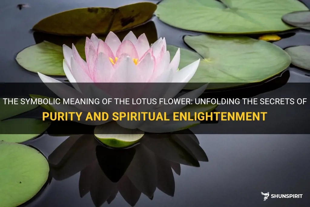 Exploring the Spiritual Meaning Behind Lotus Symbolism in Home Decor