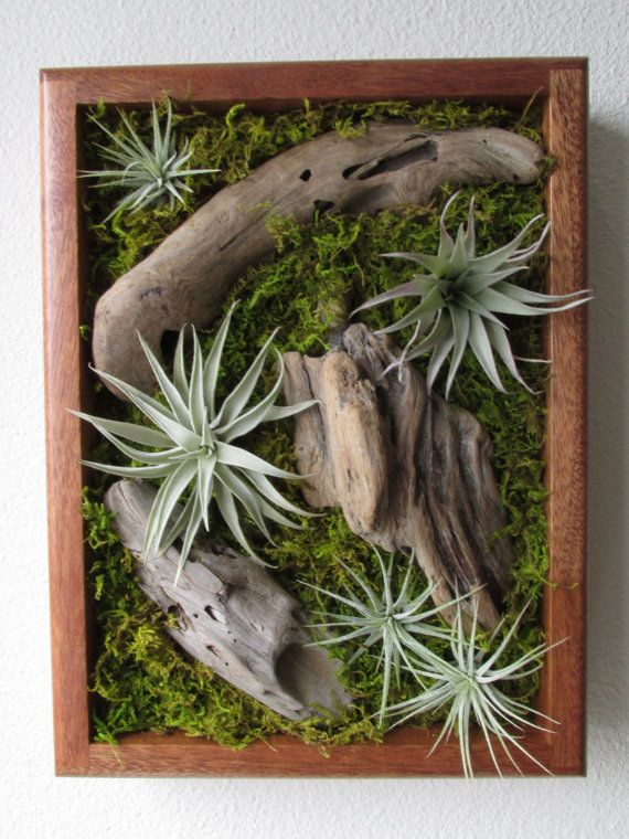 Creating living art through Tillandsia wall plaque craftsmanship