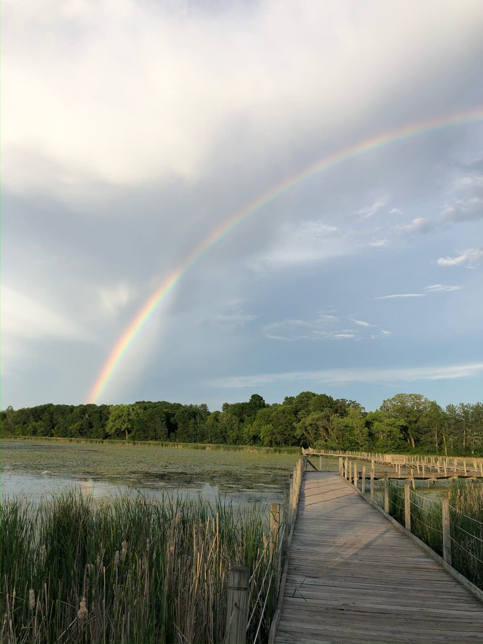 Uncovering the Natural Wonders of Lake Camelot and Wood Lake Region