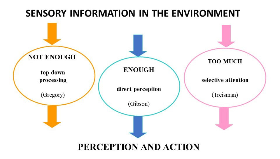 Understanding the Shift Beyond Single-Reality Perception