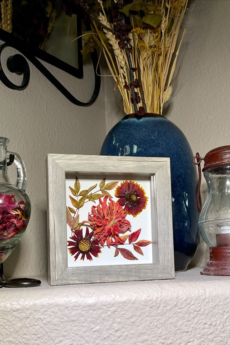 Exploring the Creative Potential of Zinnia I Multiple Color Shadow Box