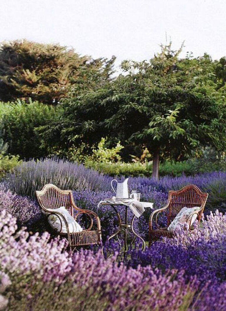Understanding the Appeal of Lavender Blooming Fields and Trees in Interior Design