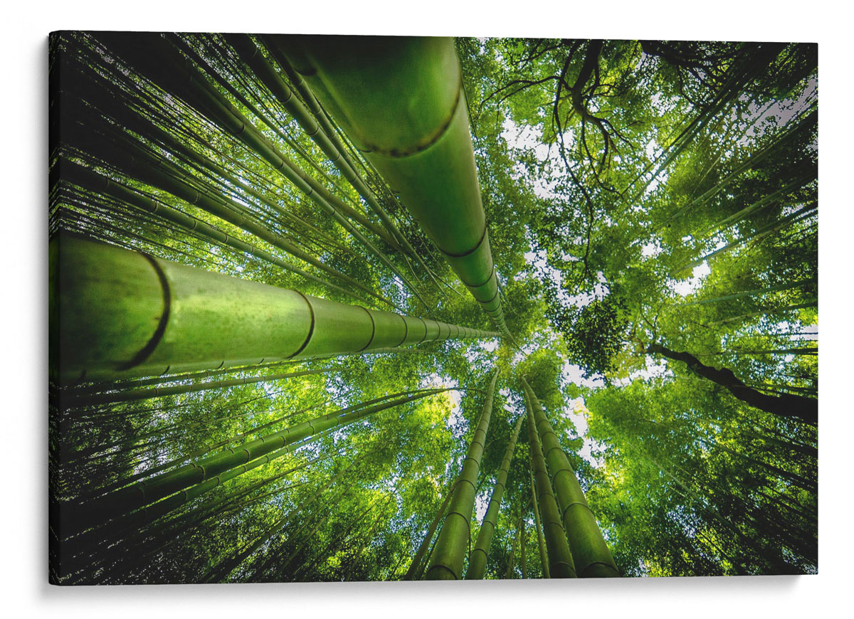 Arashiyama Canvas-Taulu | Dekoa with regard to Discovering the Tranquil Moments That Define Arashiyama's Natural Canvas