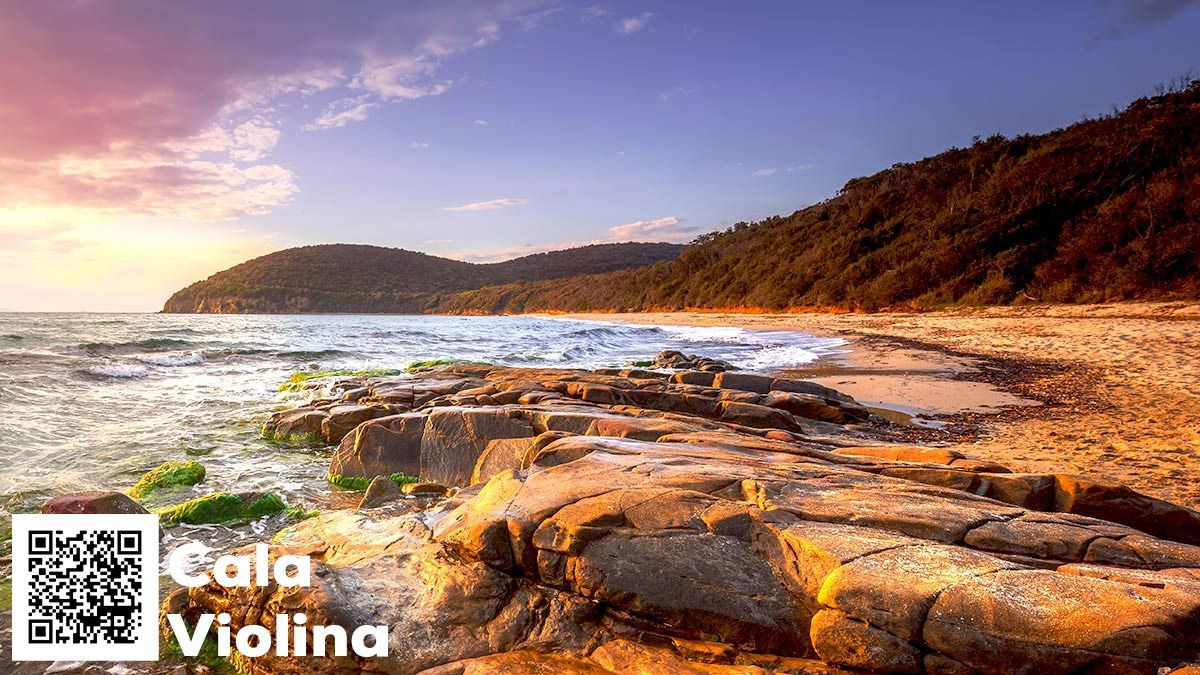 Exploring the Natural Beauty of Cala Violina Bay Through Artistic Expression