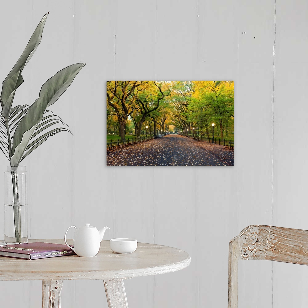 Central Park New York Autumn Wall Art That Brings Nature Indoors
