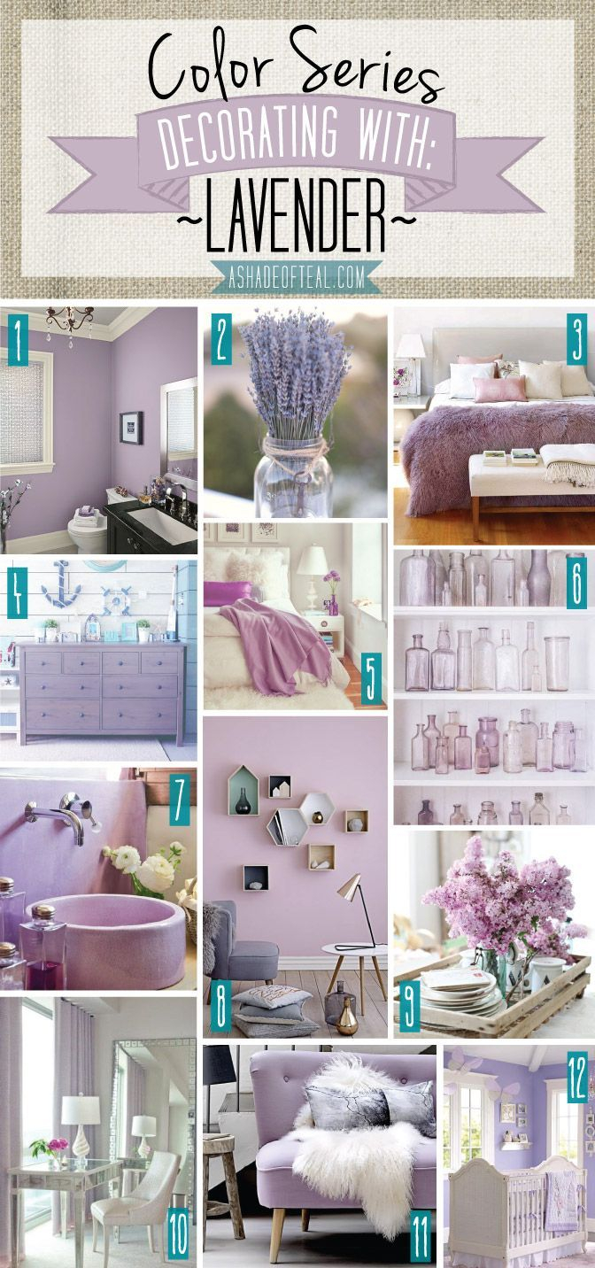 Modern Home Decor Trends Featuring Endless Lavender Panel Collections
