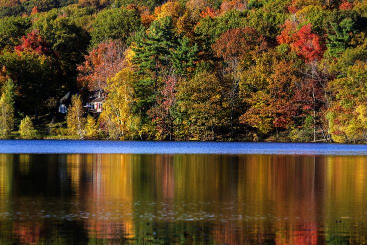 Colors | Autumn Scenes, Psychological Effects Of Color, Autumn Beauty with regard to "Stairway Through Red Fall Forest" Landscape Photo Wall Art, 4 Panels