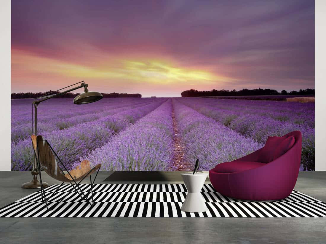 Download A Scene Of Serene Beauty At Lavender Fields Wallpaper ... regarding Exploring the serene beauty of Tihany's lavender fields through modern landscape art