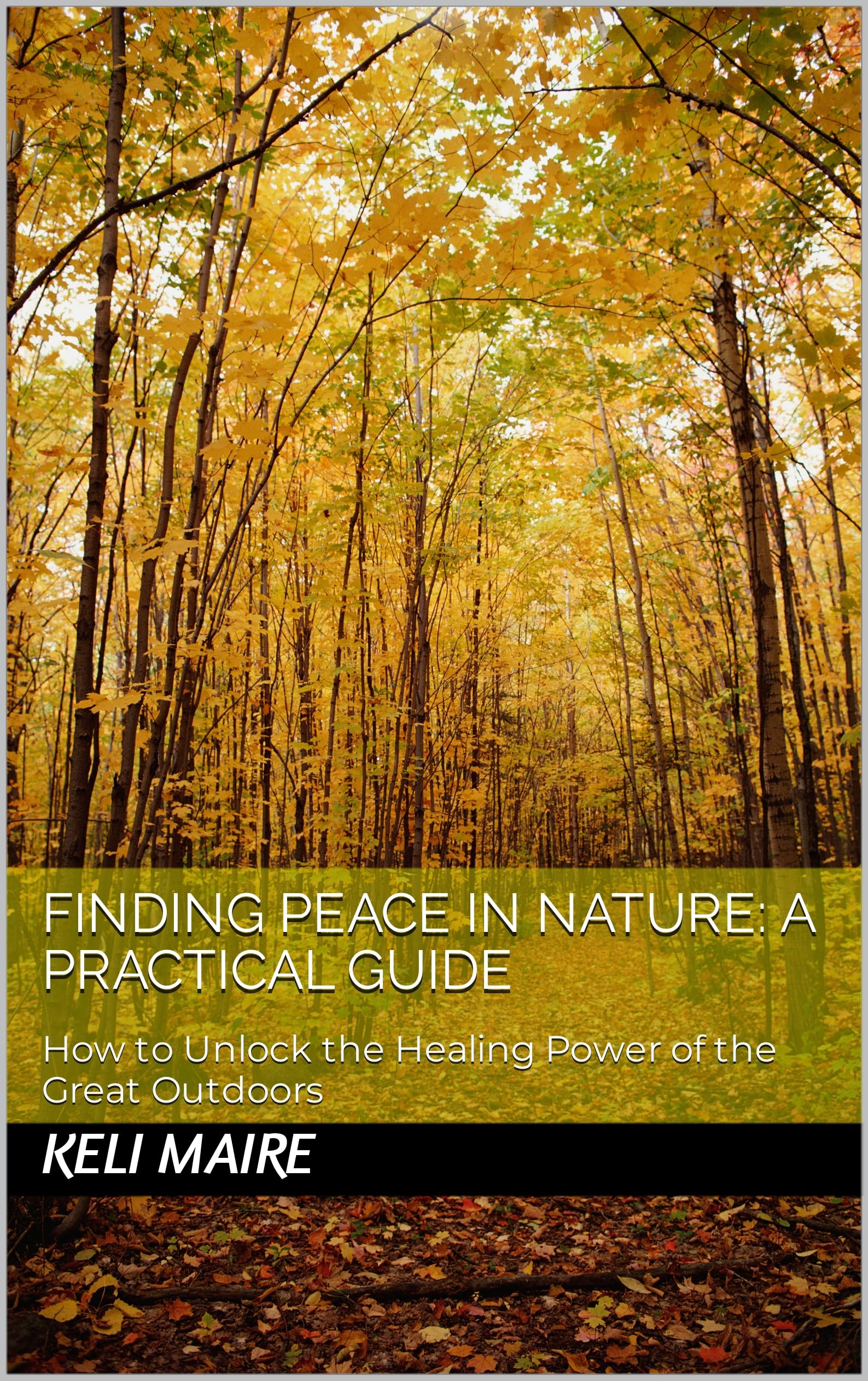 Finding Peace in Nature’s Gentle Pathways