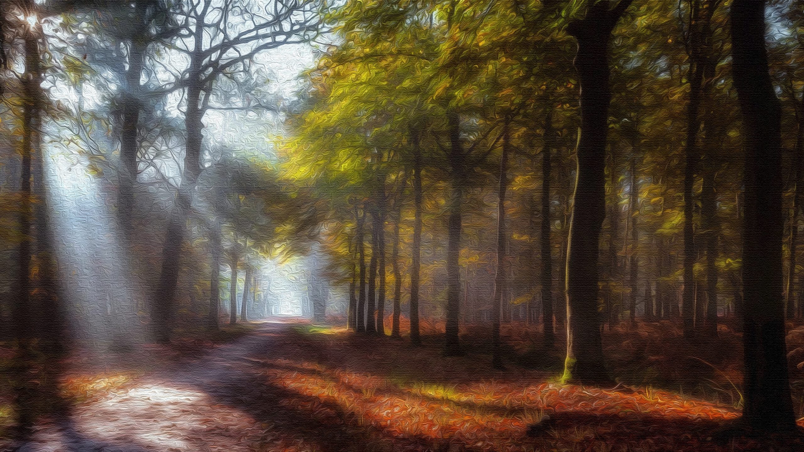 Artistic Expression Through the Lens of Forest-Themed Canvas Work