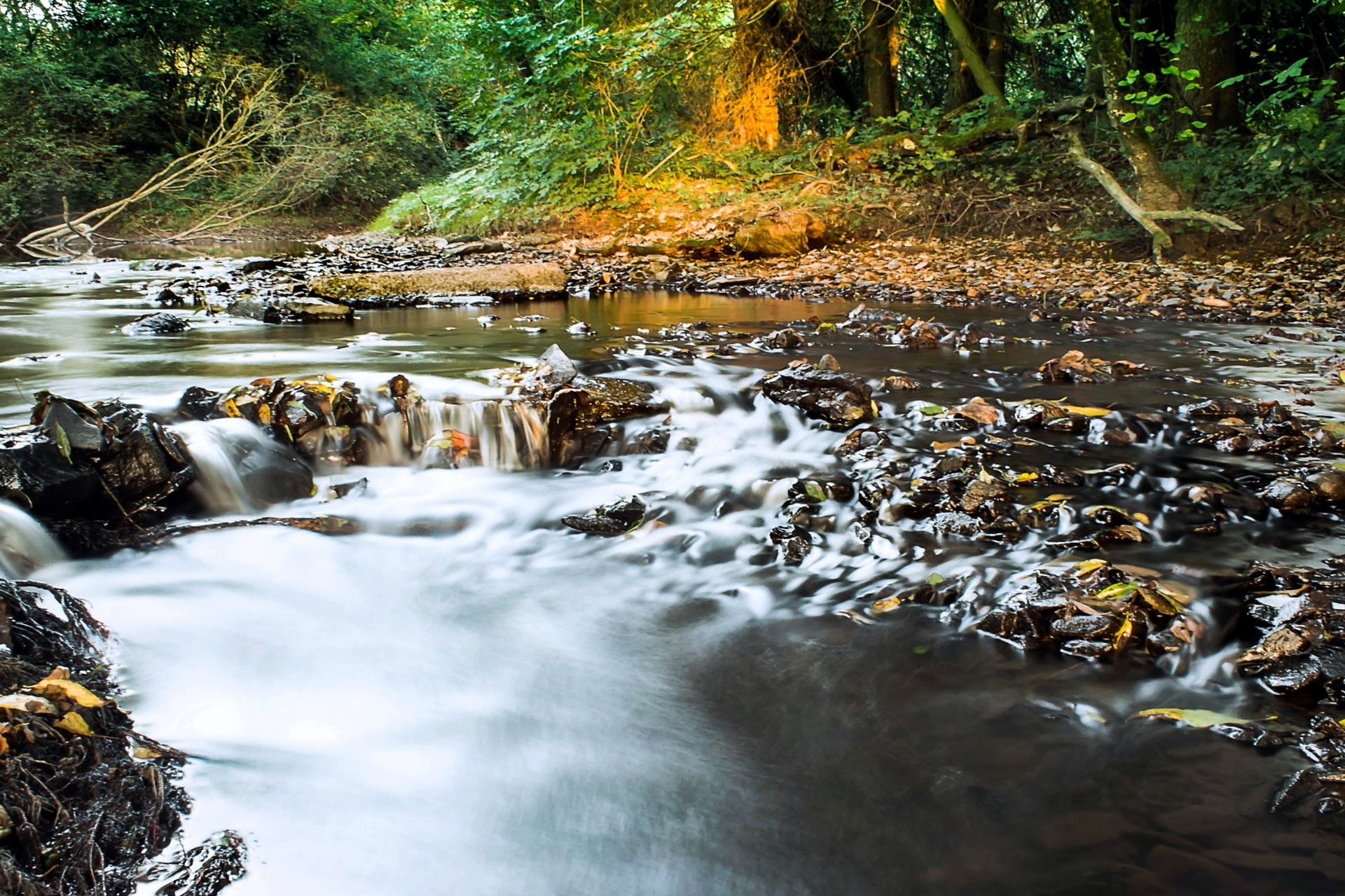 Free Images : Tree, Nature, Forest, Waterfall, Creek, Wilderness, Leaf ... inside The Aesthetic Appeal of Stone and Water in Landscape Photography