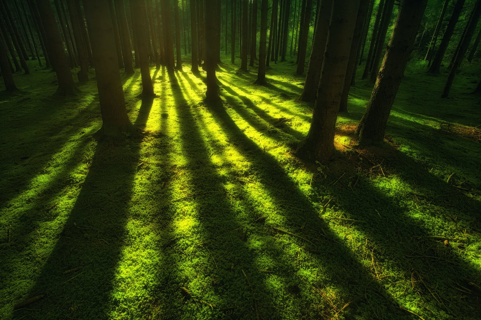 Understanding Light and Shadow in Rural Scene Photography