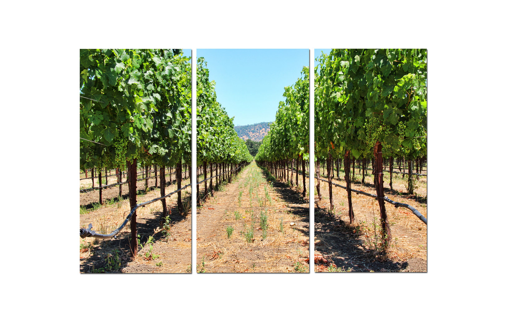 Ready2Hangart Chris Doherty 3-Pc Canvas Wall Art Set - Farmhouse ... intended for Ready2Hangart Chris Doherty 'Singer Skyline' 4-Piece Canvas Wall Art
