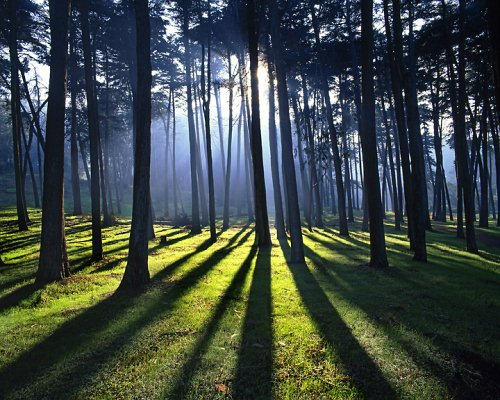 The Artistic Language of Shadow and Light in Mountain Landscape Photography