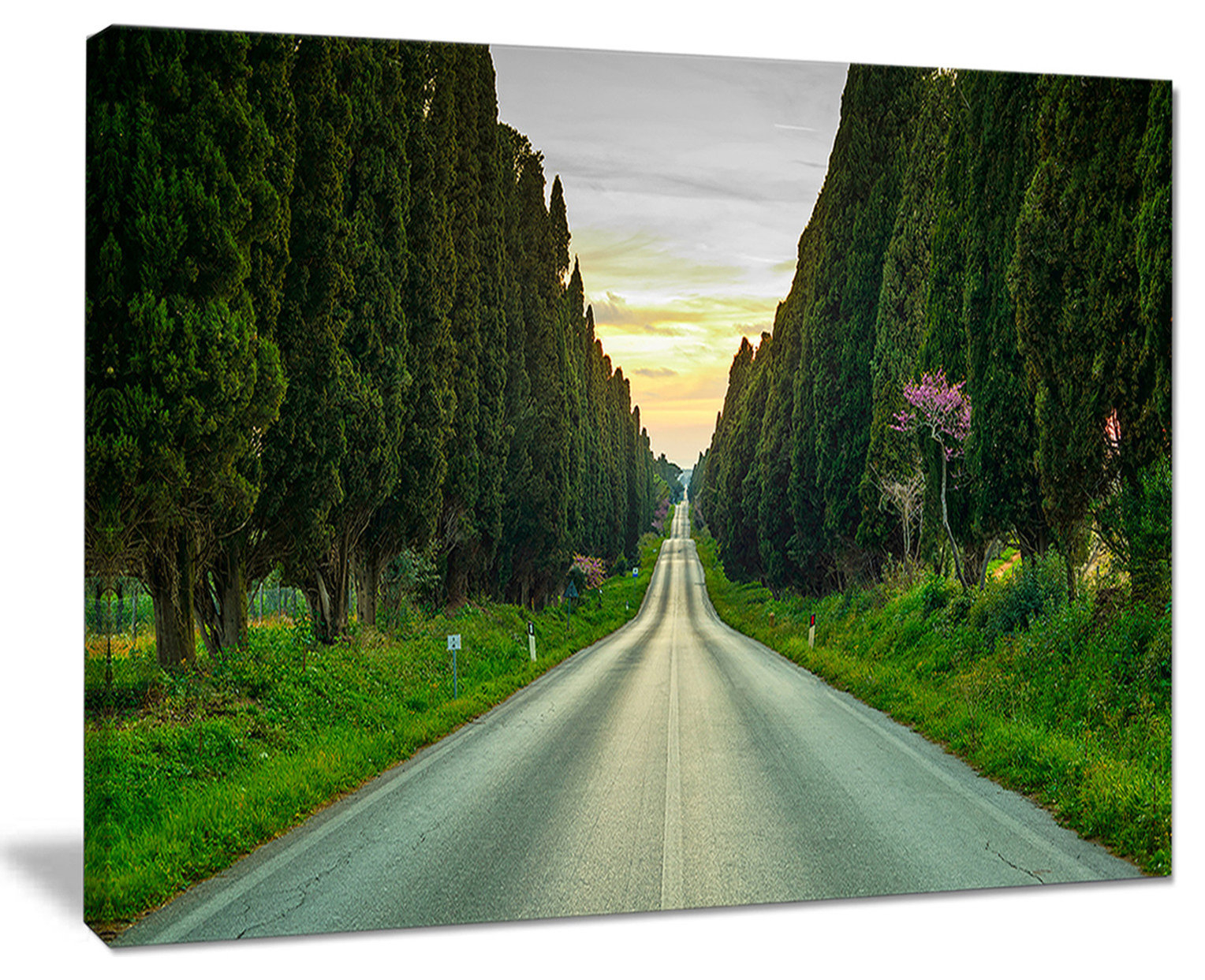 Exploring the Symbolism in White Road Through Cypress Trees Artistic Expression