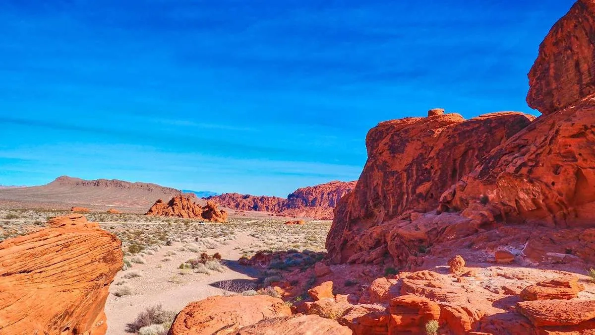 The Majestic Bighorn Sheep | National Park Express throughout Exploring the Majestic Valley of Fire Through Four Panel Landscape Art