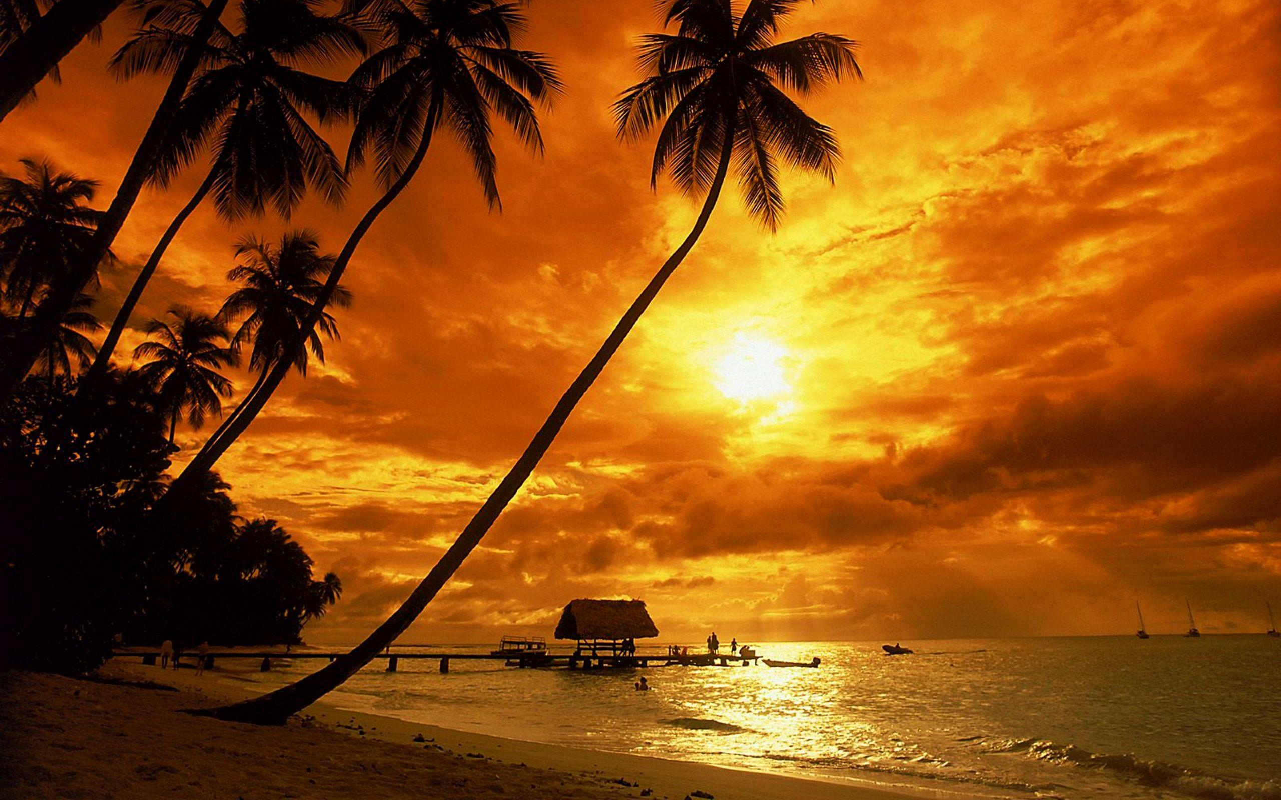 Tropical Beach Sunset Wallpapers - Top Free Tropical Beach Sunset ... intended for "Dark Tropical Sand Beach At Sunset" Modern Seascape Wall Art, 4 Panels
