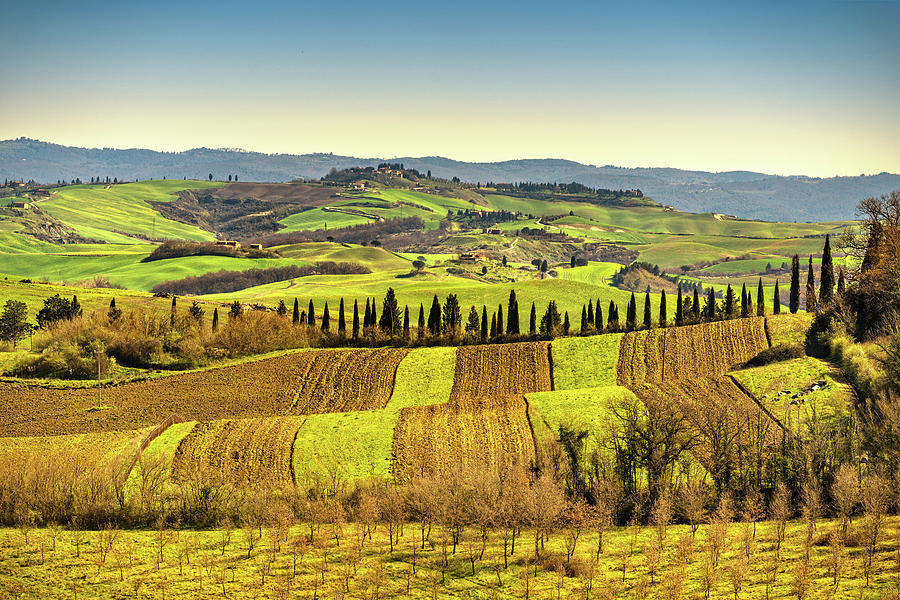 The Artistic Language of Green Fields and Rolling Hills in Tuscany