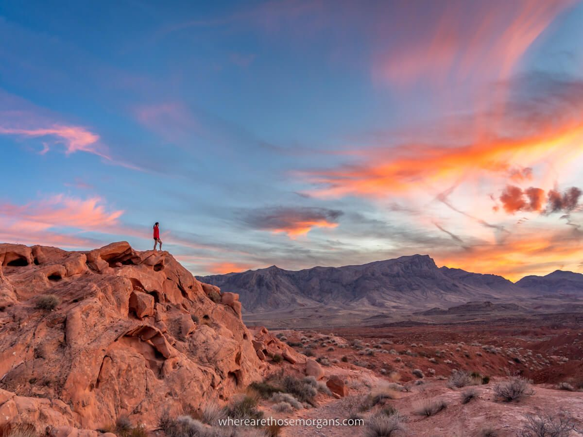 Valley Of Fire State Park in Exploring the Majestic Valley of Fire Through Four Panel Landscape Art