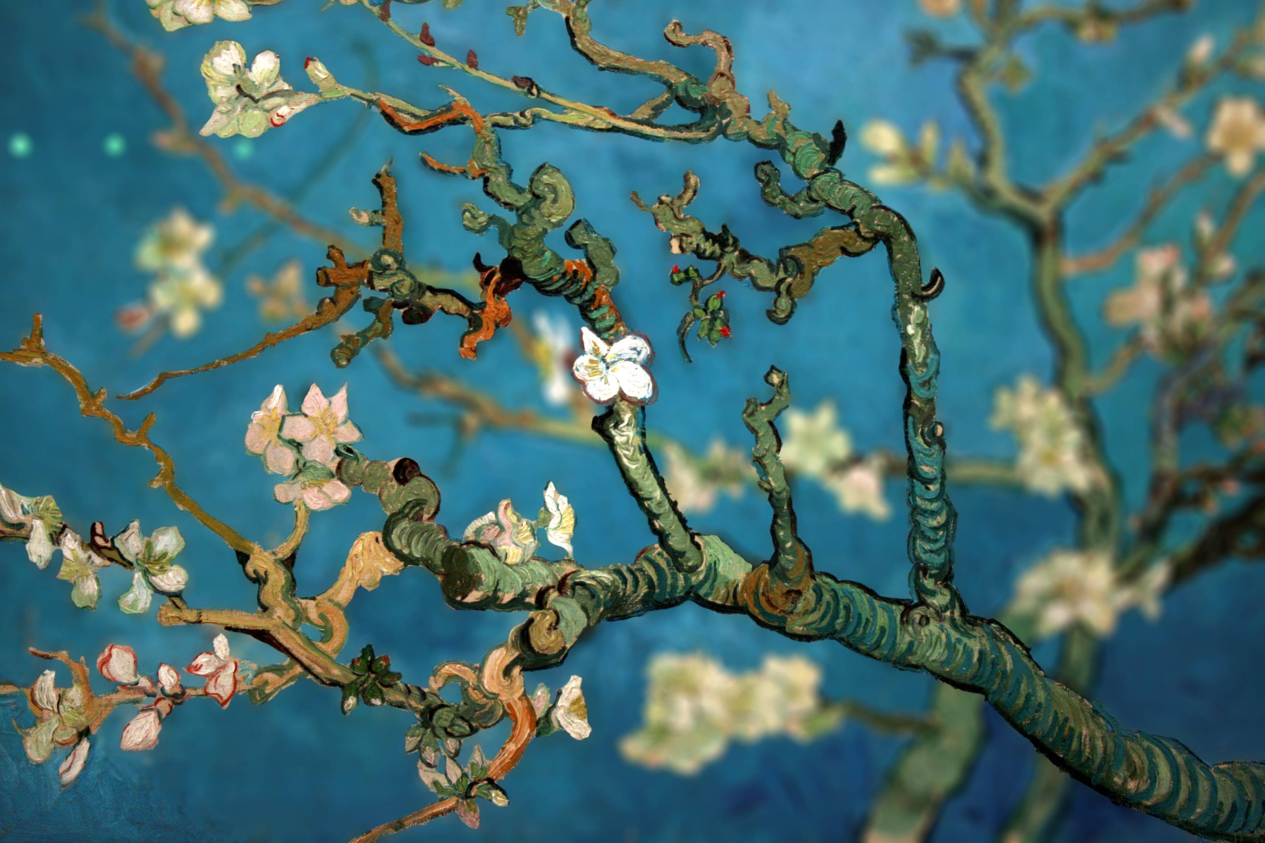 Van Gogh Blossom Wallpapers - Wallpaper Cave in Modern Interpretations of Van Gogh's Cherry Blossom Themes in Contemporary Gallery Art