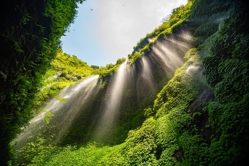 Understanding the Cultural Significance of Waterfall Photography