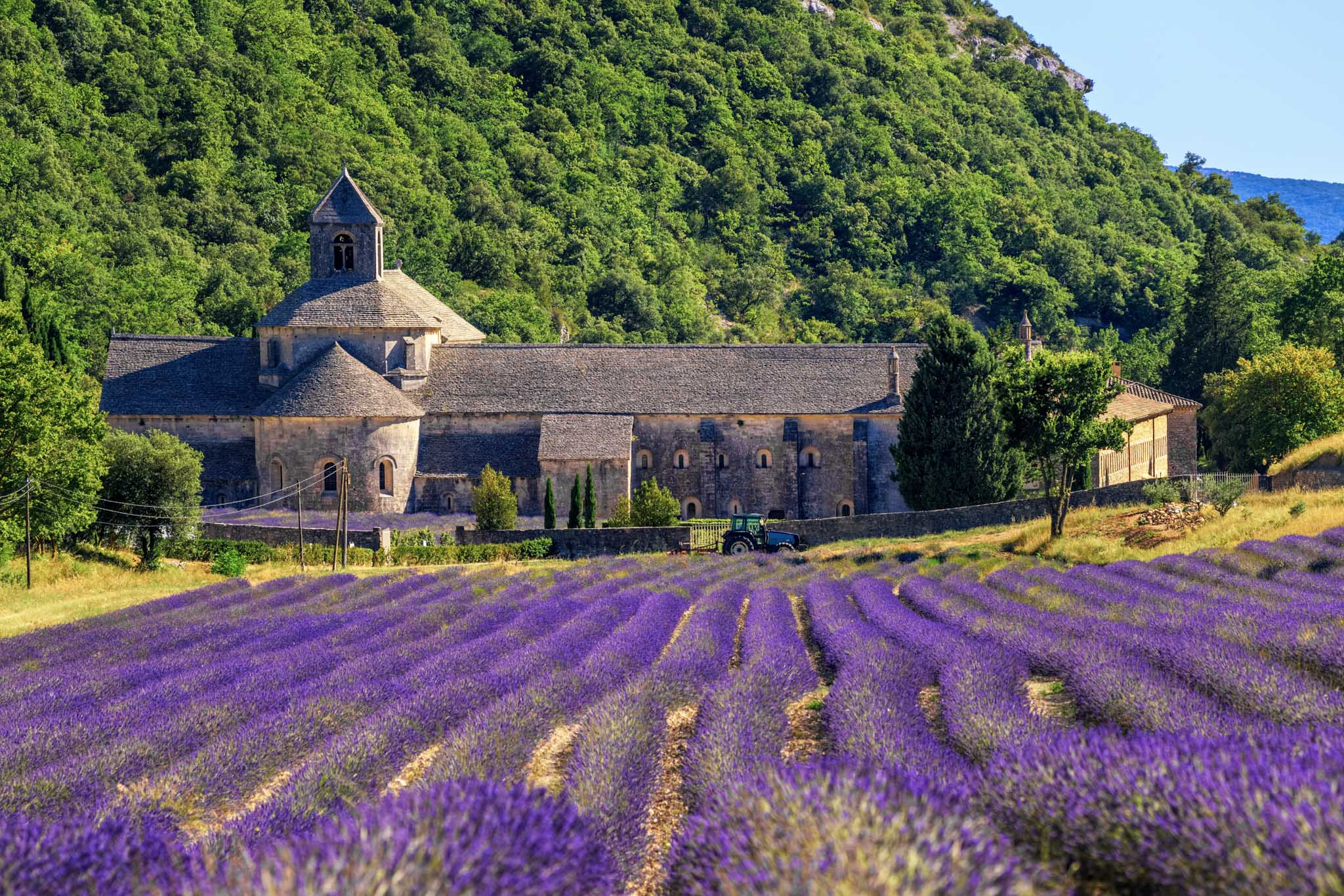 Where To Find The Lavender In The Luberon, Provence throughout "Abbey Of Senanque Lavender Flowers" Landscape Wall Art Print, 1 Panel